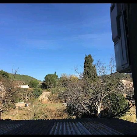 Grand Appartement 6 Pers,Lumineux,Avec Terrasse Sud De France Tuchan Экстерьер фото